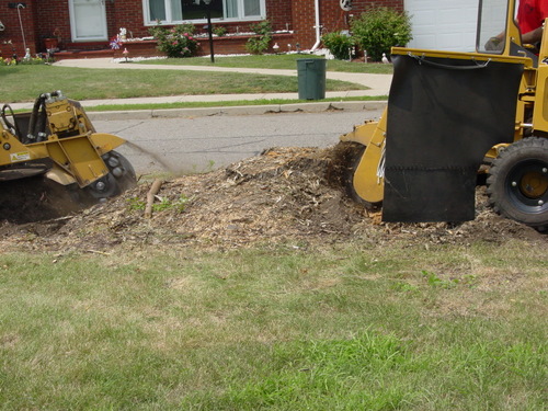 ./Gallery/2011 Bennet Lot Tree Removal/DSC06470.JPG